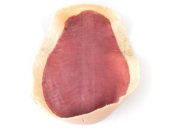 https://www.jayakelana.jayakelana.id/uploads/product/-123009-canine-abdominal-skin-62088d4b34b0fa2_cover.jpg