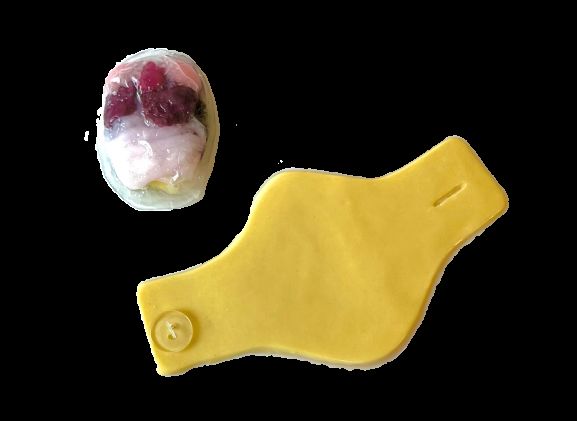 https://www.jayakelana.jayakelana.id/uploads/product/-124002-synfrog-organ-replacement-540287ba7704d12_cover.png