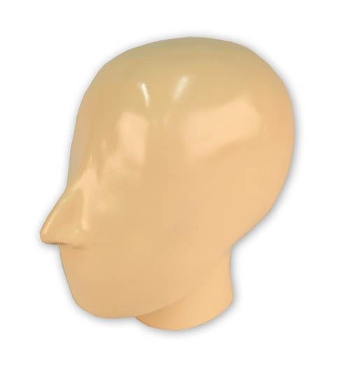 (7310) X-Ray Phantom Head with Cervical Vertebrae, Opaque