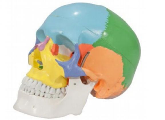 https://www.jayakelana.jayakelana.id/uploads/product/-a-104268-axis-scientific-3-part-340035bc972449c_cover.png
