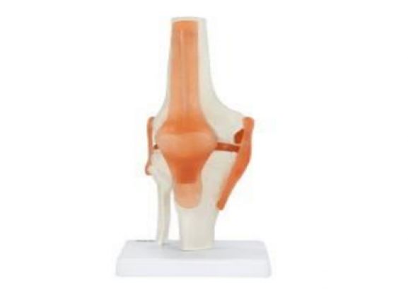 https://www.jayakelana.jayakelana.id/uploads/product/-a-104274-axis-scientific-flexible-58100de72a5668a_cover.png