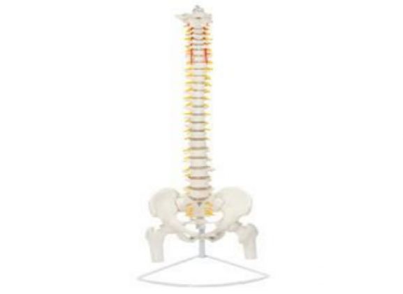 https://www.jayakelana.jayakelana.id/uploads/product/-a-104282-axis-scientific-premium-71496809e36f004_cover.png