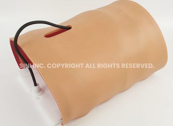 https://www.jayakelana.jayakelana.id/uploads/product/-a-lpl-01-laparoscopic-body-type-806753863c1ae61_cover.jpg
