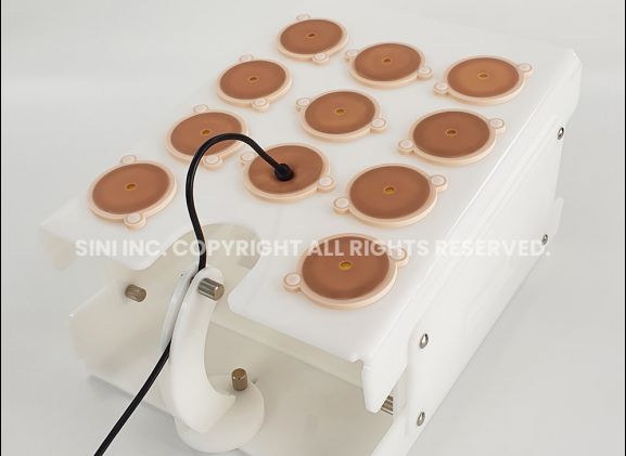 https://www.jayakelana.jayakelana.id/uploads/product/-a-lpp-02-laparoscopic-portable-trainer-12269c33e80d6ea_cover.jpg