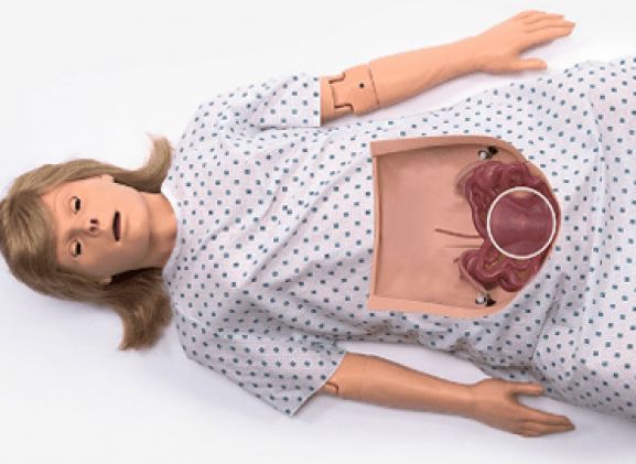 https://www.jayakelana.jayakelana.id/uploads/product/-chloe-bedah-simulator-2844379bfd63db9_cover.png