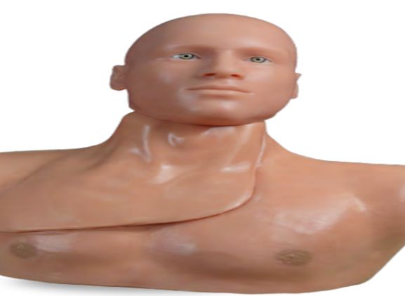 https://www.jayakelana.jayakelana.id/uploads/product/-clm-50-centralineman-system-w-o-93983cf9e25ace1_cover.png