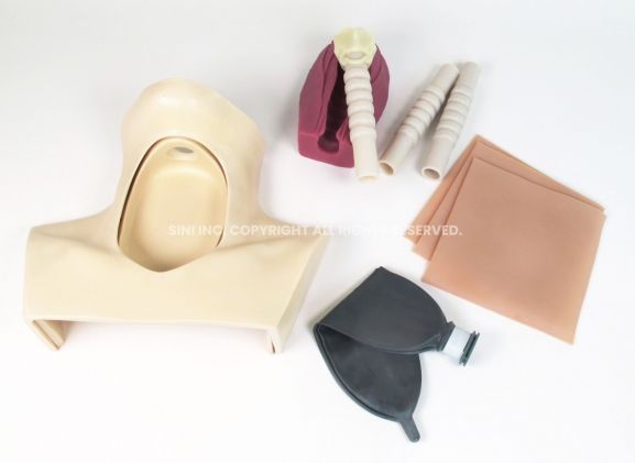 https://www.jayakelana.jayakelana.id/uploads/product/-h-tct-01-tracheotomy-trainer-98802e99a75316a_cover.jpg