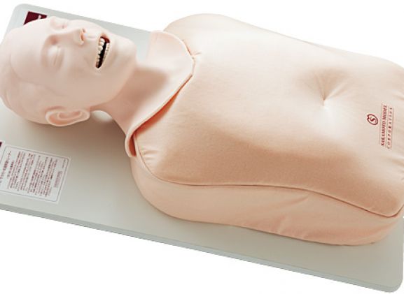 https://www.jayakelana.jayakelana.id/uploads/product/-m167-airway-management-trainer-12129c40862202d_cover.jpg