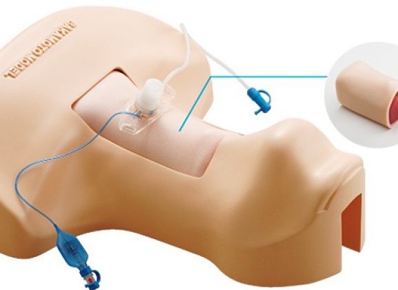 https://www.jayakelana.jayakelana.id/uploads/product/-m172-sakamoto-tracheotomy-trainer-23593bc26be43e8_cover.jpg