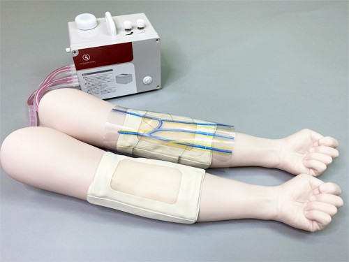 (M205) SAKAMOTO IV INJECTION TRAINER WITH OVERSWELLING VI-PA