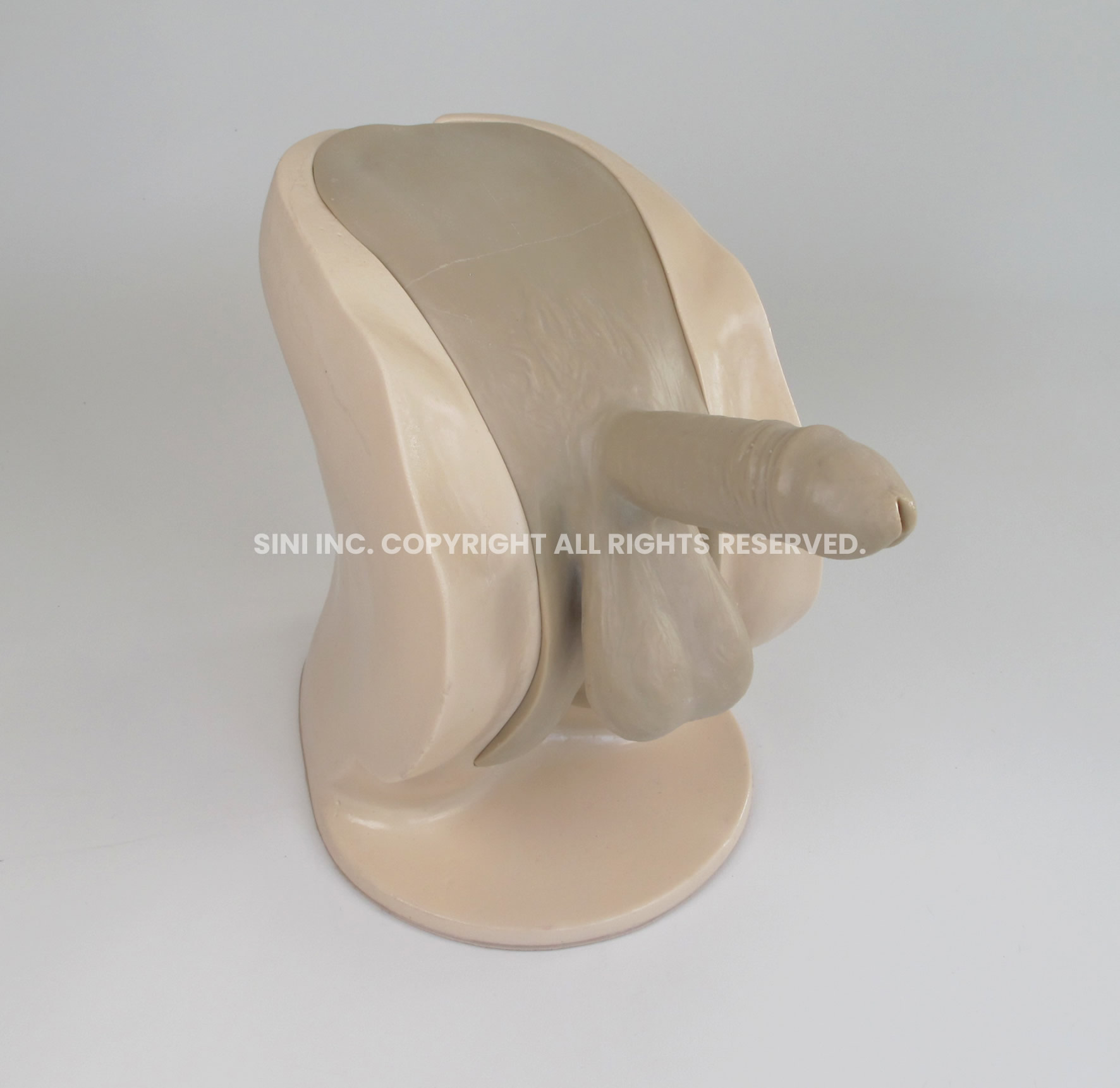 (P-CTB-01) Male Catheterization Trainer B