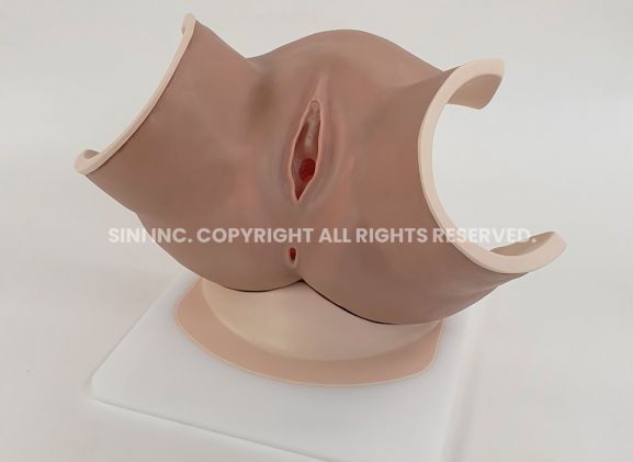 https://www.jayakelana.jayakelana.id/uploads/product/-p-vag-01-vaginitis-model-81552fd3b54357e_cover.jpg