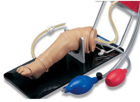 https://www.jayakelana.jayakelana.id/uploads/product/-pelatihan-keterampilan-kaki-infus-12621f8b87598c3_cover.png