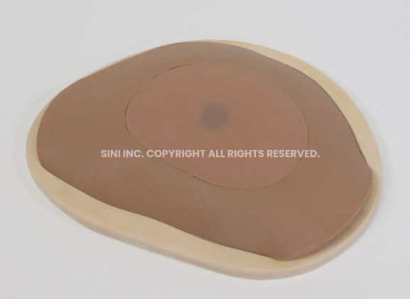 https://www.jayakelana.jayakelana.id/uploads/product/-s-abs-01-abscess-drainage-trainer-13394ae7b38e0ac_cover.jpg