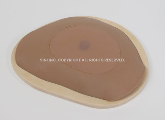 https://www.jayakelana.jayakelana.id/uploads/product/-s-abs-01-abscess-drainage-trainer-363429f4a5f201e_cover.jpg