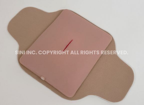 https://www.jayakelana.jayakelana.id/uploads/product/-s-loa-01-local-anesthesia-trainer-240368aeed3102c_cover.jpg