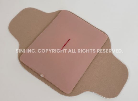 https://www.jayakelana.jayakelana.id/uploads/product/-s-loa-01-local-anesthesia-trainer-3889203060fd044_cover.jpg