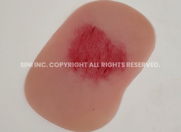 https://www.jayakelana.jayakelana.id/uploads/product/-s-wtt-01-wound-treatment-training-5715772e5530cba_cover.jpg