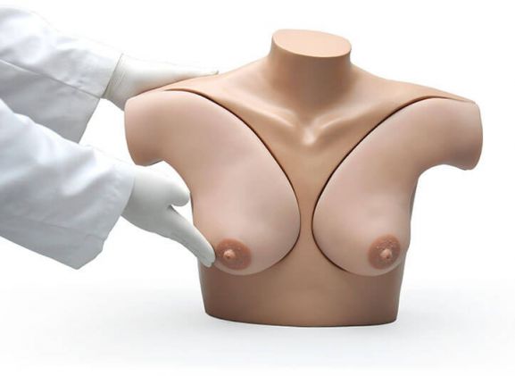 https://www.jayakelana.jayakelana.id/uploads/product/-s230-42-breast-examination-skills-4251411f61f6164_cover.jpg