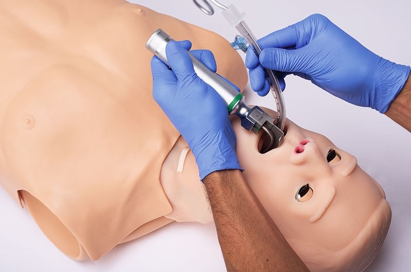 (S315.100.M2) HAL Adult Multipurpose Airway and CPR Trainer