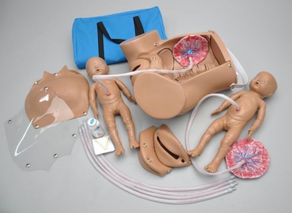 https://www.jayakelana.jayakelana.id/uploads/product/-s500-obstetric-susie-the-627151cfbc01238_cover.jpg