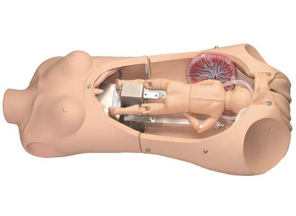 https://www.jayakelana.jayakelana.id/uploads/product/-s552-noelle-automatic-childbirth-25076fa9741d347_cover.jpg