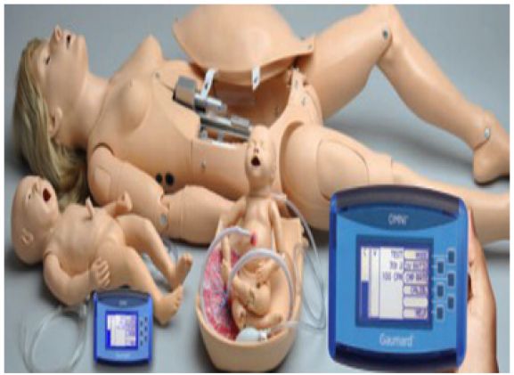 https://www.jayakelana.jayakelana.id/uploads/product/-simulator-kelahiran-noelle-maternal-49754a90e4953eb_cover.png