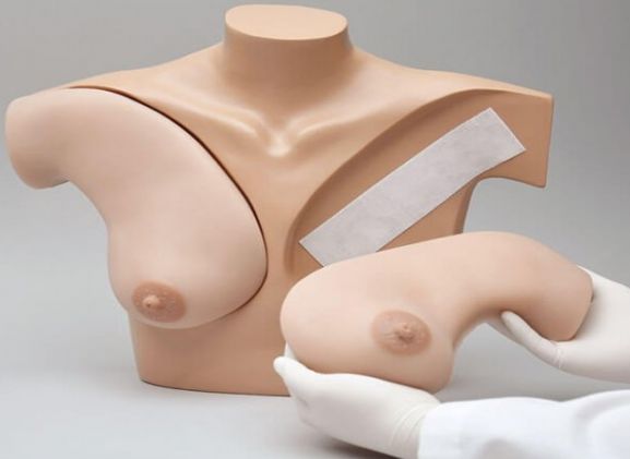 https://www.jayakelana.jayakelana.id/uploads/product/-simulator-palpasi-payudara-untuk-523755d8035fc44_cover.jpg