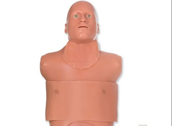 https://www.jayakelana.jayakelana.id/uploads/product/-tm-5138-traumaman-surgical-simulator-76451fed8e861c1_cover.jpg
