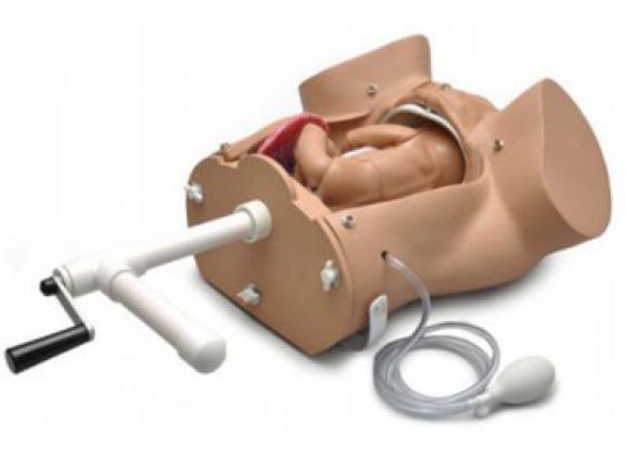 https://www.jayakelana.jayakelana.id/uploads/product/-torso-persalinan-kebidanan-s500-100--666818909835ad0_cover.png