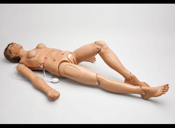 https://www.jayakelana.jayakelana.id/uploads/product/clinical-chloe-nursing-51468b5d33588a0_cover.jpg