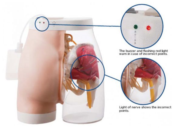 https://www.jayakelana.jayakelana.id/uploads/product/intramuscular-injection-model-of-17666f9d6a25123_cover.png
