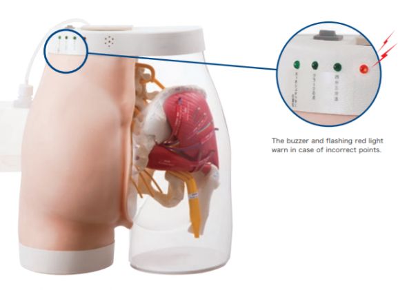 https://www.jayakelana.jayakelana.id/uploads/product/intramuscular-injection-model-of-5833681713cf65b_cover.png