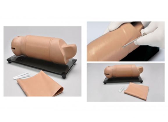 https://www.jayakelana.jayakelana.id/uploads/product/lengan-pelatihan-implan-reproduksi-66445a54815d81b_cover.png