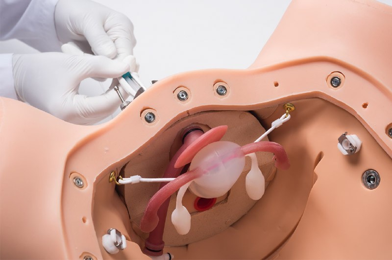 (S504.200) ZOE&reg; GYNECOLOGICAL SKILLS TRAINER 