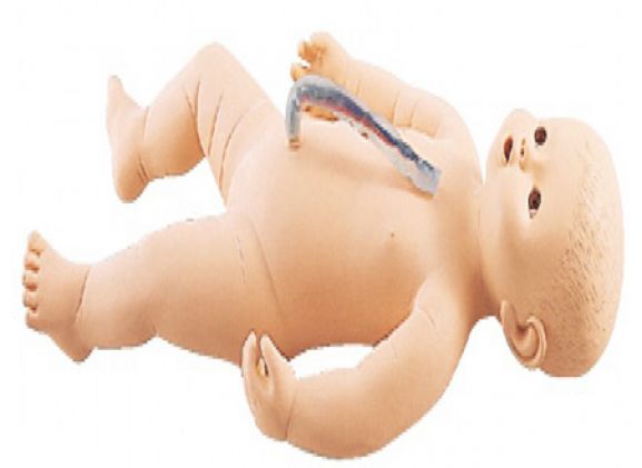 https://www.jayakelana.jayakelana.id/uploads/product/sakamoto-bayi-perempuan-m107-4--832713460d4a259_cover.png