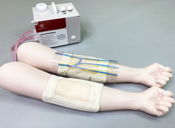 https://www.jayakelana.jayakelana.id/uploads/product/sakamoto-iv-injection-trainer-85370176ffb9f32_cover.jpg