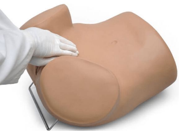 https://www.jayakelana.jayakelana.id/uploads/product/sima-gyn-aid-gynecologic-simulator-133601f6cfe360e_cover.png