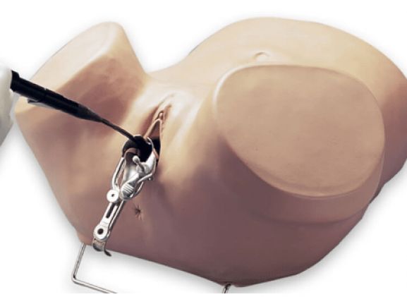 https://www.jayakelana.jayakelana.id/uploads/product/simulator-histeroskopi-s607--263359ce9a52b9f_cover.png