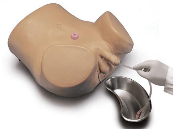 https://www.jayakelana.jayakelana.id/uploads/product/simulator-kateterisasi-pasien-lanjutan-640767d026ba3c8_cover.png