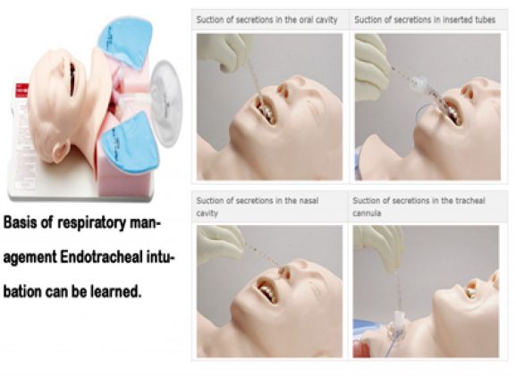 https://www.jayakelana.jayakelana.id/uploads/product/simulator-penghisap-sakamoto-m175--55471a09ea94b23_cover.png