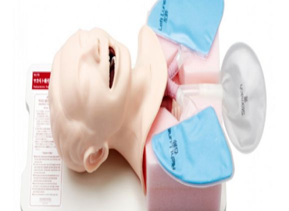 https://www.jayakelana.jayakelana.id/uploads/product/simulator-penghisap-sakamoto-m175--773877cfc05085e_cover.png