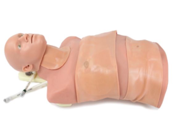 https://www.jayakelana.jayakelana.id/uploads/product/sistem-traumaman-tm-5138--234546e20333214_cover.png