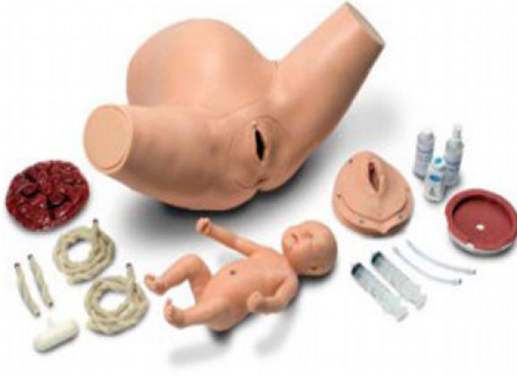 https://www.jayakelana.jayakelana.id/uploads/product/torso-pelatihan-anak-super-61269cfab35c19a_cover.png