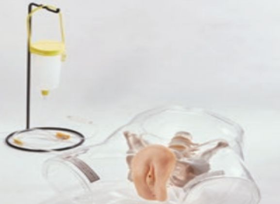 https://www.jayakelana.jayakelana.id/uploads/product/transparent-female-catheter-model-9987643ffdd9207_cover.png