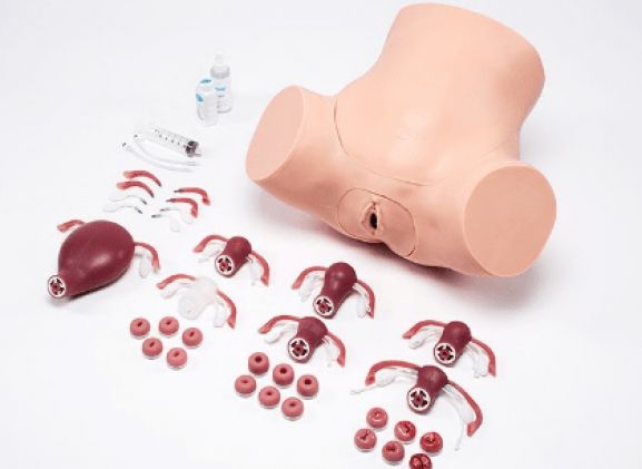 https://www.jayakelana.jayakelana.id/uploads/product/zoe-pelatih-keterampilan-375185c3d8b3cf5_cover.png